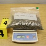 Dealer z Táborska s přítelkyní zásoboval drogami přes sto lidí na Jindřichohradecku