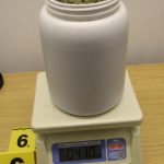 Dealer z Táborska s přítelkyní zásoboval drogami přes sto lidí na Jindřichohradecku