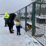 Do krumlovského útulku přinesli lidé psům téměř tunu krmení