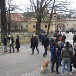 Krumlovští medvědi si pochutnávali na dortech a jiných dobrotách
