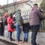 Krumlovští medvědi si pochutnávali na dortech a jiných dobrotách