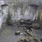 Krumlovští medvědi si pochutnávali na dortech a jiných dobrotách