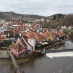 Krumlovští medvědi si pochutnávali na dortech a jiných dobrotách