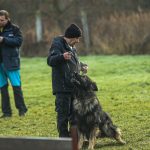 Kynologové bojovali o trofeje na vodňanském cvičáku