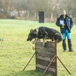 Kynologové bojovali o trofeje na vodňanském cvičáku