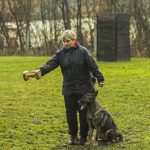 Kynologové bojovali o trofeje na vodňanském cvičáku