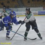 Kohouti dostali ve třetí části od Příbrami čtyři góly. V prodloužení přiletěla na led i termoska