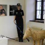 V Galerii G 140 představují strážníci Městské policie Tábor širokou paletu své činnosti
