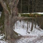 Tip na výlet: Novohradsko a kouzelné Terčino údolí