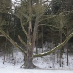 Tip na výlet: Novohradsko a kouzelné Terčino údolí