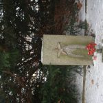 Tip na výlet: Novohradsko a kouzelné Terčino údolí