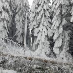 Kvůli námraze a větru jsou některé domácnosti na jihu Čech bez elektřiny