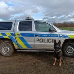 Policejní pes našel v lese u Bechyně podchlazeného muže, který neměl hmatný tep