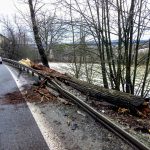 Vítr komplikuje dopravu v kraji. U Písku padl strom na jedoucí auto