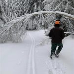 V okolí Prachatic a Libínského Sedla jsou aktuálně projeté běžkařské trasy