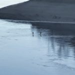 Hazard u Žďákovského mostu. Tři lidé se procházeli po tenkém ledu na Orlické nádrži