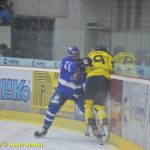 Kohouti se prosadili v souboji s Kobrou až v polovině zápasu, přesto naložili hadům půltucet