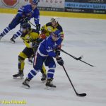 Kohouti se prosadili v souboji s Kobrou až v polovině zápasu, přesto naložili hadům půltucet