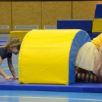 VIDEO: Sokolská akademie napěchovala sportovní halu. Oživení přinesla živá kapela Prvoci