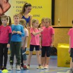 VIDEO: Sokolská akademie napěchovala sportovní halu. Oživení přinesla živá kapela Prvoci