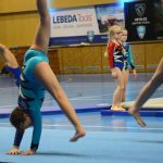 VIDEO: Sokolská akademie napěchovala sportovní halu. Oživení přinesla živá kapela Prvoci