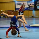 VIDEO: Sokolská akademie napěchovala sportovní halu. Oživení přinesla živá kapela Prvoci