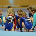 VIDEO: Sokolská akademie napěchovala sportovní halu. Oživení přinesla živá kapela Prvoci