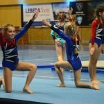 VIDEO: Sokolská akademie napěchovala sportovní halu. Oživení přinesla živá kapela Prvoci