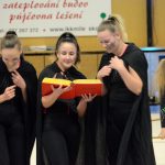 VIDEO: Sokolská akademie napěchovala sportovní halu. Oživení přinesla živá kapela Prvoci