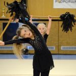 VIDEO: Sokolská akademie napěchovala sportovní halu. Oživení přinesla živá kapela Prvoci