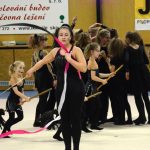 VIDEO: Sokolská akademie napěchovala sportovní halu. Oživení přinesla živá kapela Prvoci