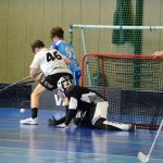 Junioři Milevska z domácího dvojzápasu vydolovali tři body, v play off jdou na Panthers Praha