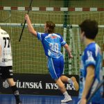 Junioři Milevska z domácího dvojzápasu vydolovali tři body, v play off jdou na Panthers Praha