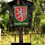 Nejstarší a nejmohutnější strom Strakonic nevydržel nápor středeční bouřky