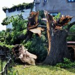 Nejstarší a nejmohutnější strom Strakonic nevydržel nápor středeční bouřky