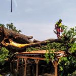 Nejstarší a nejmohutnější strom Strakonic nevydržel nápor středeční bouřky