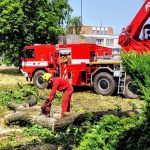Nejstarší a nejmohutnější strom Strakonic nevydržel nápor středeční bouřky