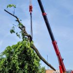 Nejstarší a nejmohutnější strom Strakonic nevydržel nápor středeční bouřky