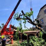 Nejstarší a nejmohutnější strom Strakonic nevydržel nápor středeční bouřky