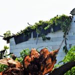 Nejstarší a nejmohutnější strom Strakonic nevydržel nápor středeční bouřky