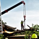 Nejstarší a nejmohutnější strom Strakonic nevydržel nápor středeční bouřky