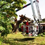 Nejstarší a nejmohutnější strom Strakonic nevydržel nápor středeční bouřky