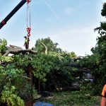 Nejstarší a nejmohutnější strom Strakonic nevydržel nápor středeční bouřky