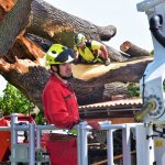 Nejstarší a nejmohutnější strom Strakonic nevydržel nápor středeční bouřky