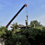 Nejstarší a nejmohutnější strom Strakonic nevydržel nápor středeční bouřky