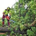 Nejstarší a nejmohutnější strom Strakonic nevydržel nápor středeční bouřky