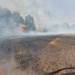 Jižní Čechy v plamenech. Hasiči se ani nestíhají vracet na základny