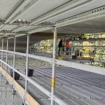 Práce na Zvíkovském mostu pokračují, ale termín se zřejmě nestihne. Podívejte se do zákulisí rekonstrukce