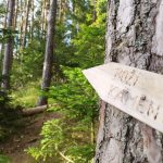 Vyražte za léčivou energií na Boží kameny