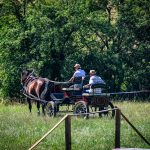 Ani tropické počasí nezastavilo memoriál bratří Machů